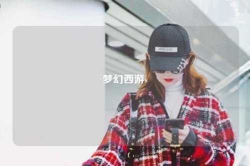 梦幻西游s